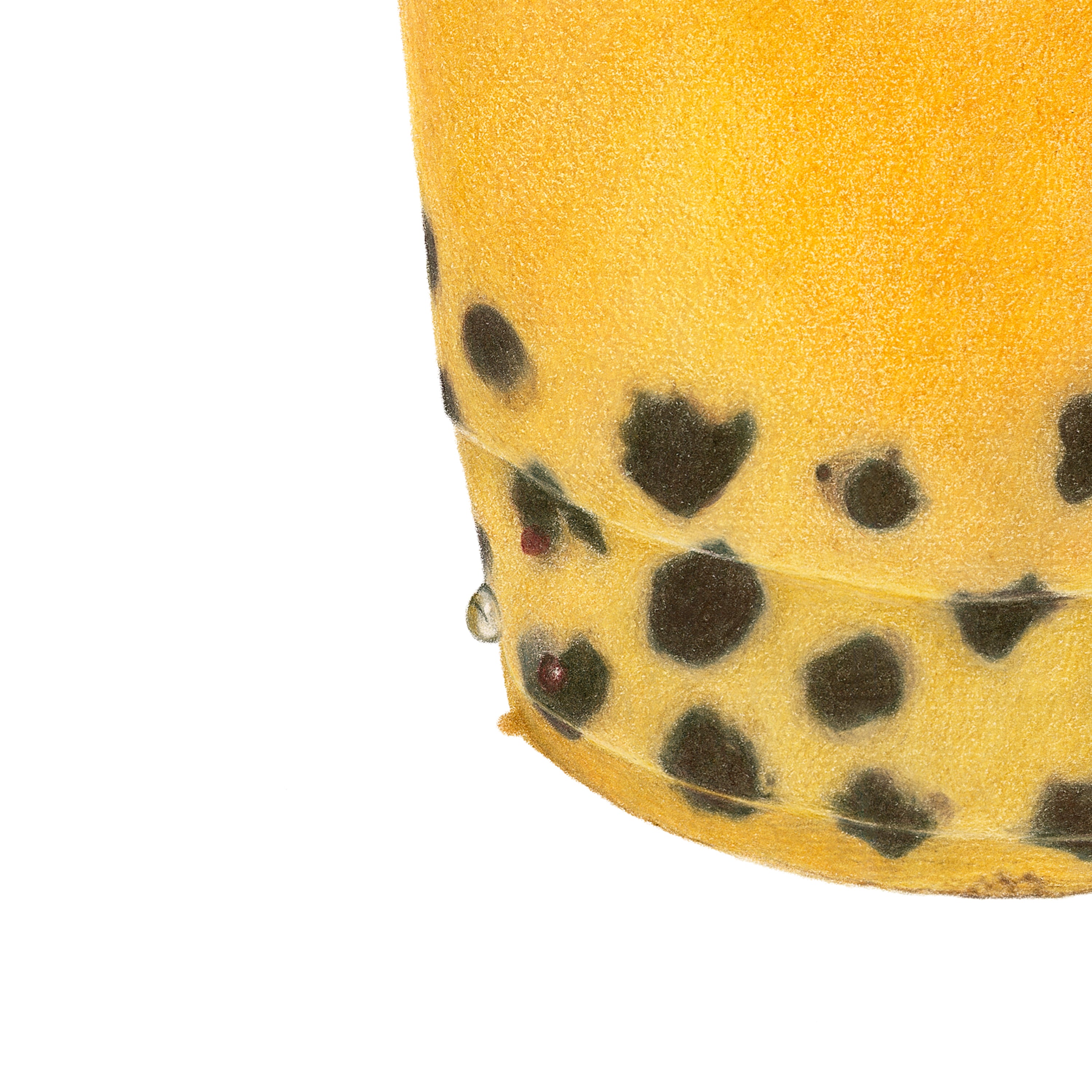 Detail shot of Boba: close up of condensation